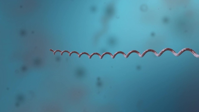 细菌真菌细胞微生物螺旋体病菌形态展示动画