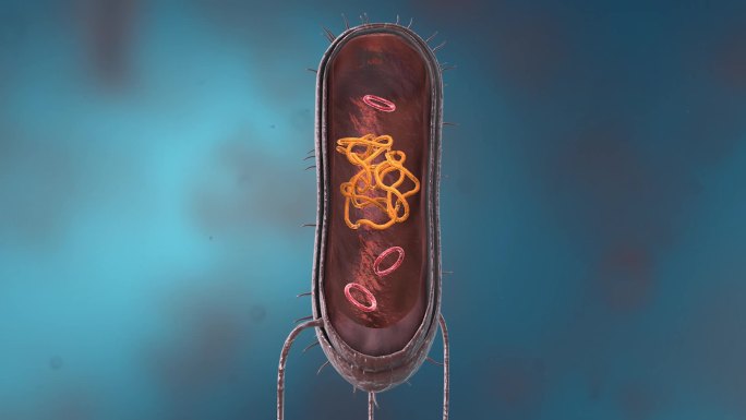 细菌真菌细胞微生物线粒体DNS病原体动画