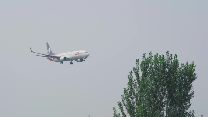 山东航空 飞机降落 东阿阿胶号