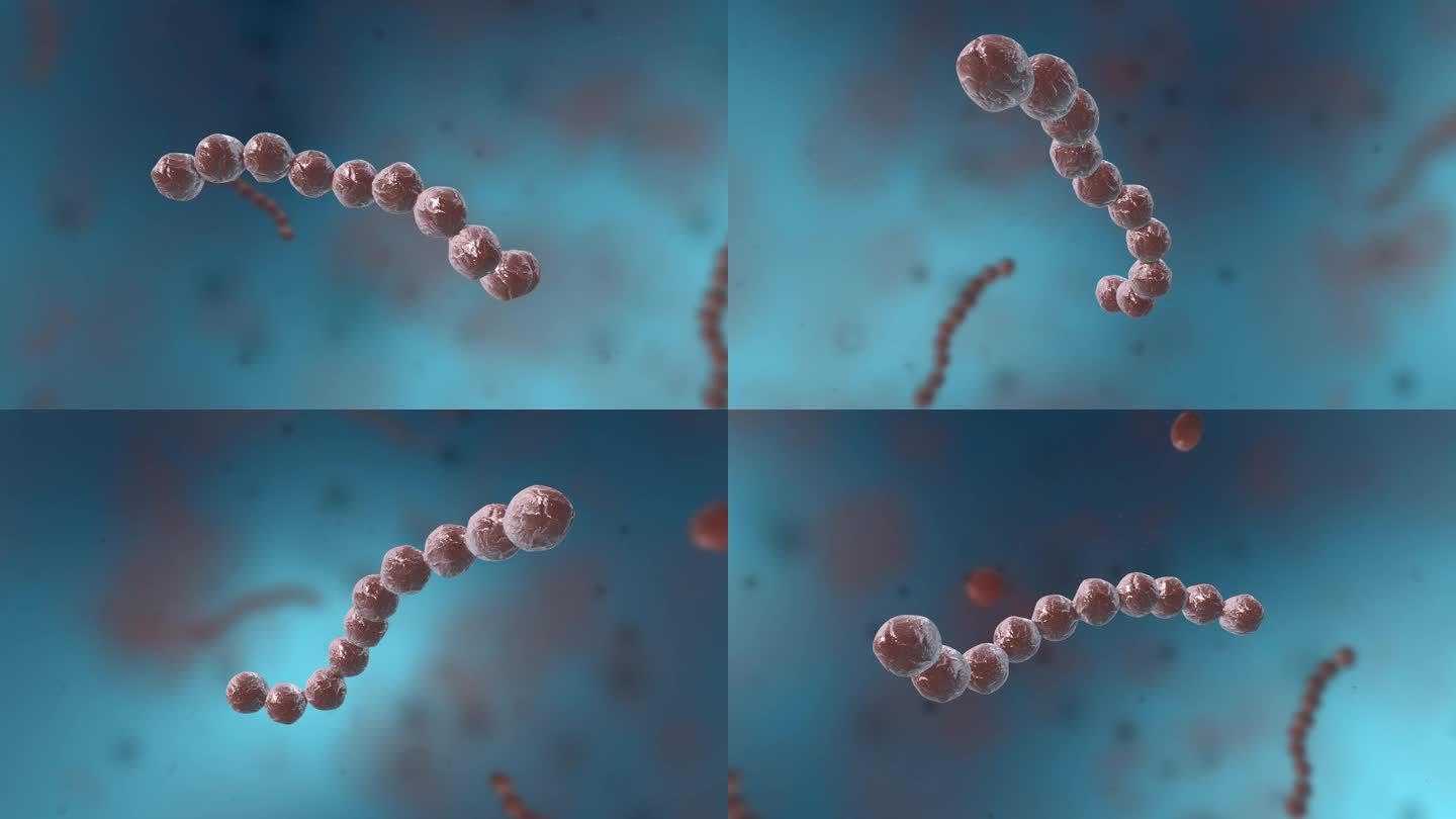 细菌真菌细胞微生物医学三维动画