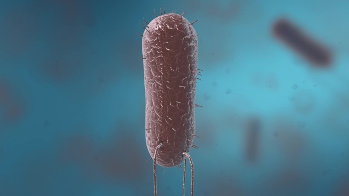 细菌真菌细胞微生物线粒体病原体医学三维