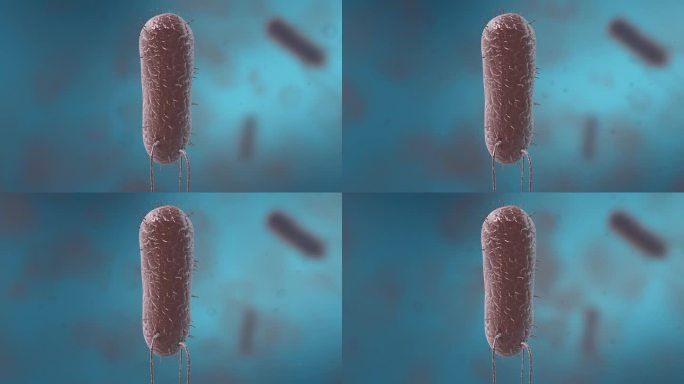 细菌真菌细胞微生物线粒体病原体医学三维