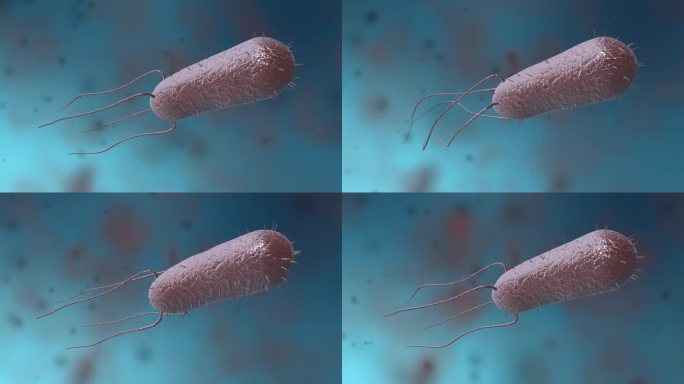 细菌真菌细胞微生物3D病毒病菌医学动画