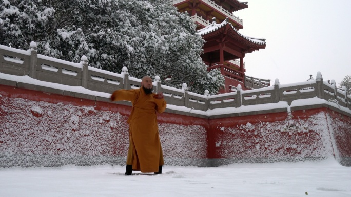 中国少林寺武僧拳法武功寺院