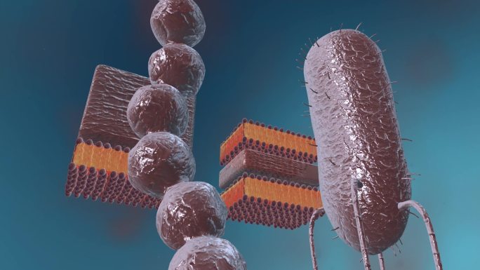 细菌真菌细胞微生物病毒病菌病原体三维动画