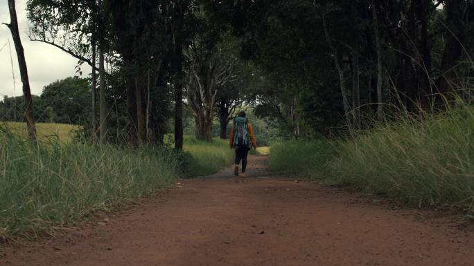 在泰国森林中徒步旅行的年轻女子。积极健康的女性，背着背包。女性游客可在森林后景漫步、休闲、生物旅游、