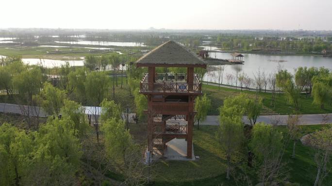 北湖湿地公园观鸟塔