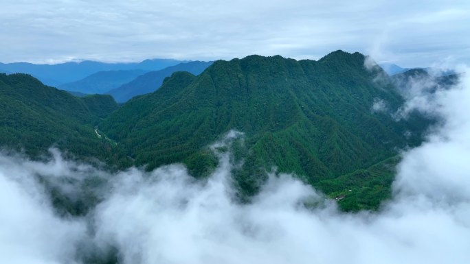 拨云见山4K