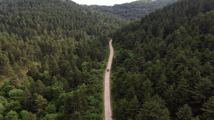 汽车穿梭原始森林4k航拍壮美山脉