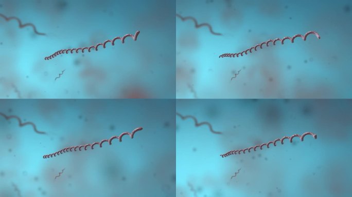 细菌真菌细胞微生物螺旋菌医学动画