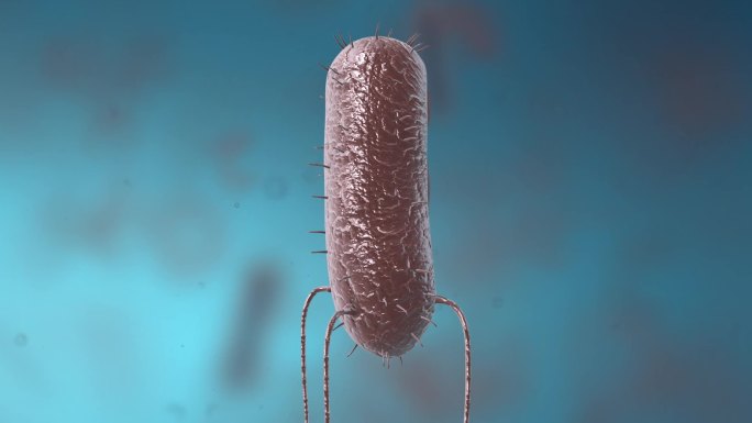 细菌真菌细胞微生物病变病毒病菌动画展示