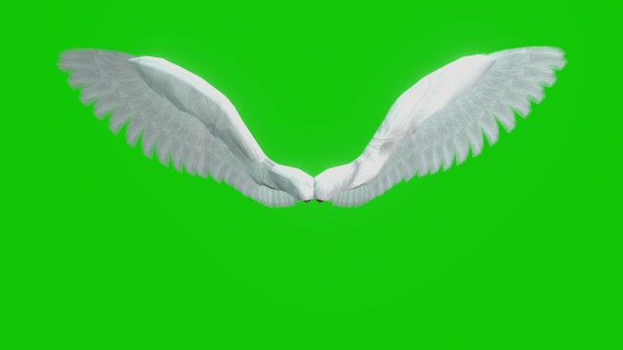 天使之翼开放闲置可循环
