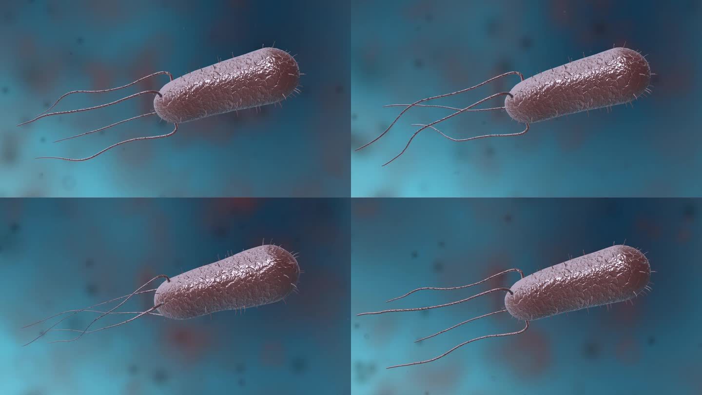 细菌真菌细胞微生物线粒体病菌病毒动画展示