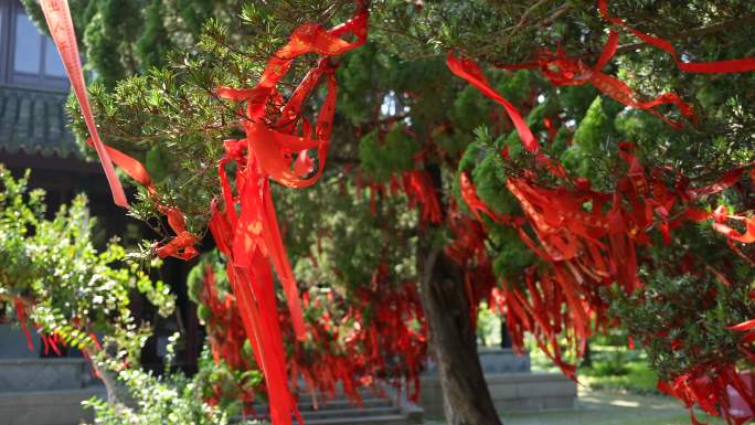 许愿树祝福祈福