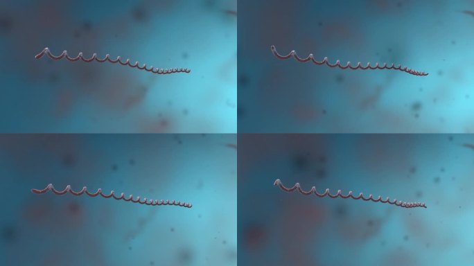 细菌真菌细胞微生物螺旋体病菌真菌动画展示