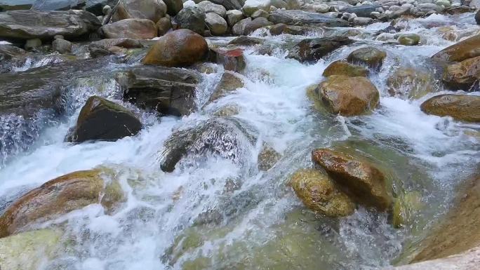 小溪流水清澈的河水