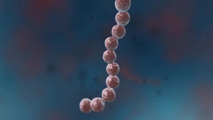 细菌真菌细胞微生物螺旋体链球菌医学动画