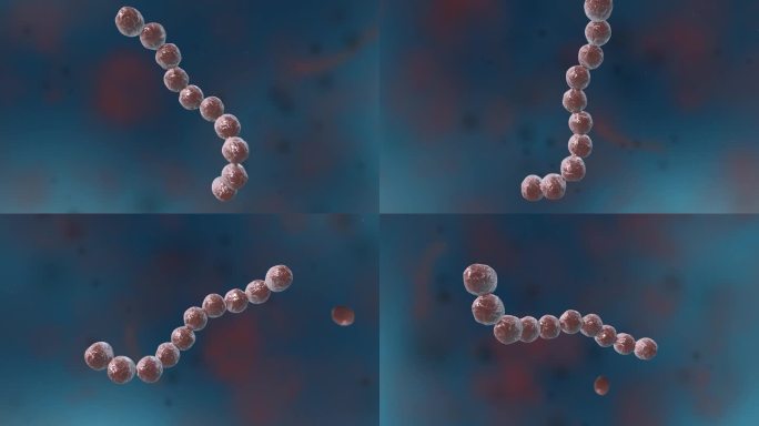 细菌真菌细胞微生物螺旋体链球菌医学动画
