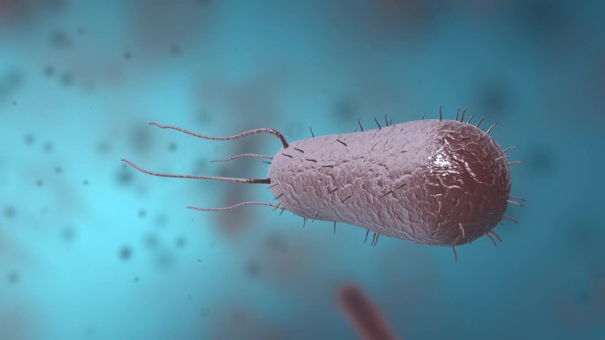 细菌真菌细胞微生物病原体病毒病菌动画展示