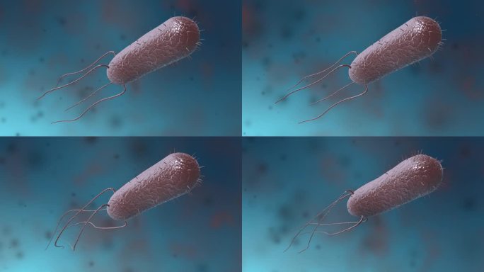 细菌真菌细胞微生物病菌传染病原体动画展示