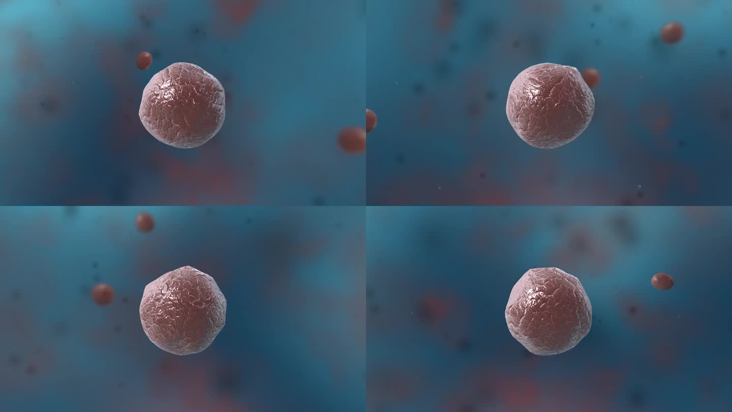 3D细菌真菌细胞微生物单球菌医学三维动画