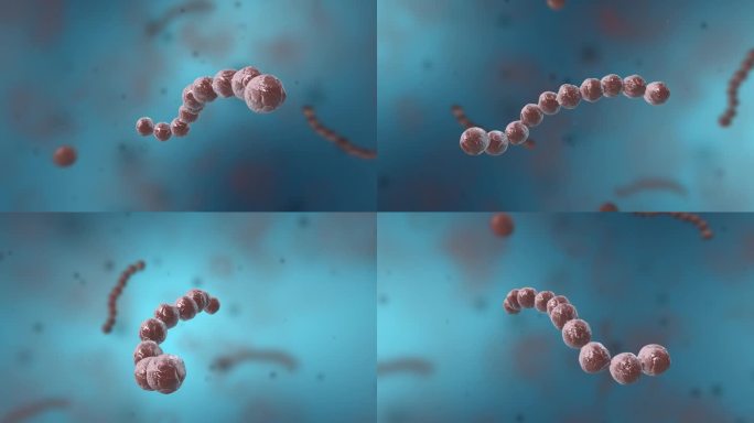 细菌真菌细胞微生物链球菌病原3D三维动画