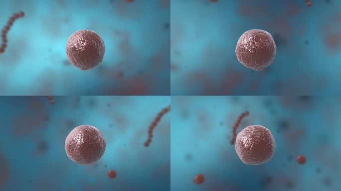 细菌真菌细胞微生物病菌医疗三维动画展示