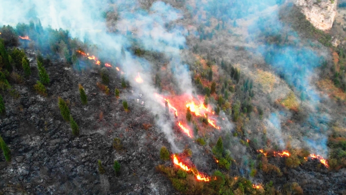 火种无情大火烧山被燃烧损失的树林