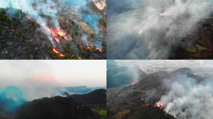 火种无情大火烧山被燃烧损失的树林