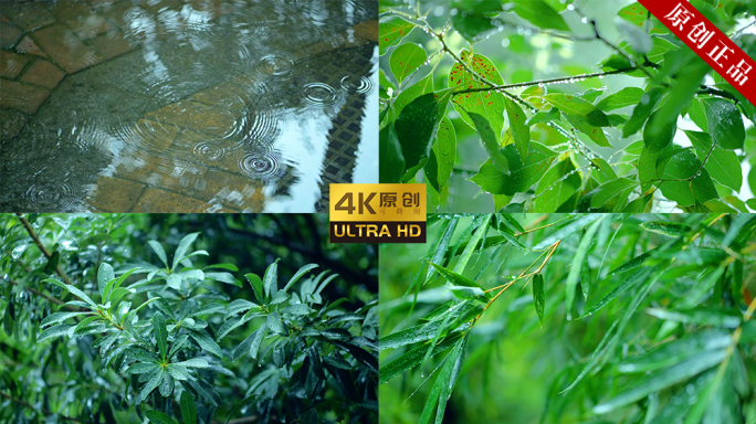 【4K原创拍摄可商用】下雨季大雨节气合集