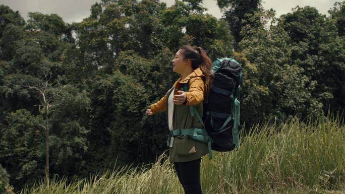 在泰国森林中徒步旅行的年轻女子。积极健康的女性，背着背包。女性游客可沿森林后视漫步、休闲、生物旅游、
