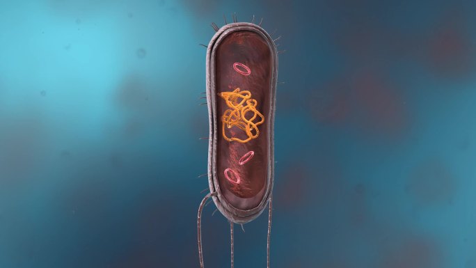 细菌真菌细胞微生物细胞核线粒体DNA动画