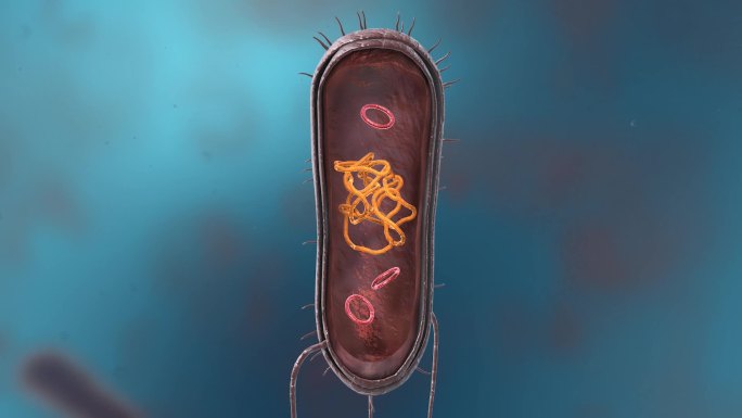 细菌真菌细胞微生物病菌病原体病毒病变动画