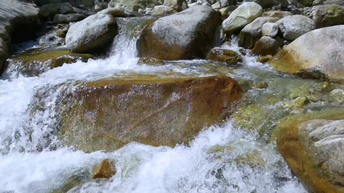 小溪流水清澈的河水