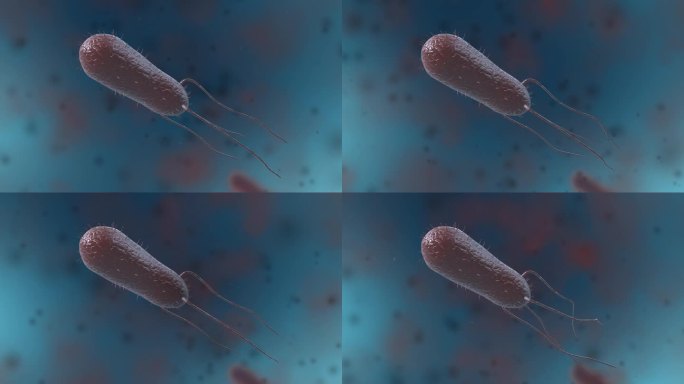 细菌真菌细胞微生物病菌病毒三维动画展示