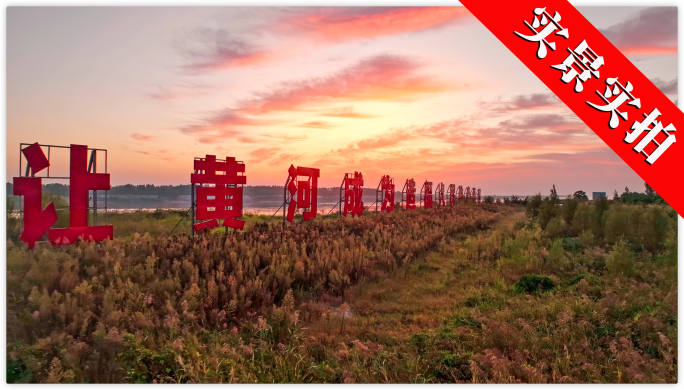 黄河生态湿地