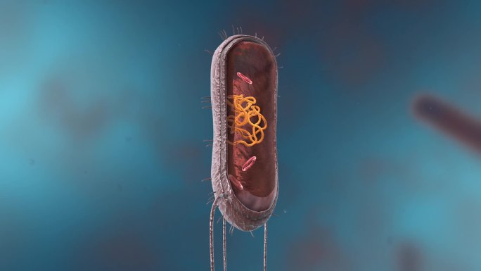细菌真菌细胞微生物病变病毒解剖研究动画