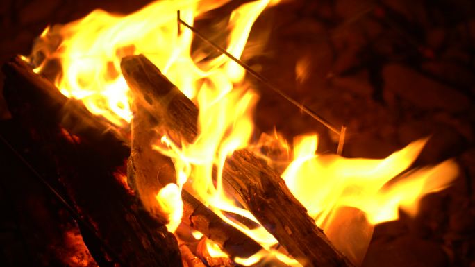 篝火火焰燃烧木头火堆