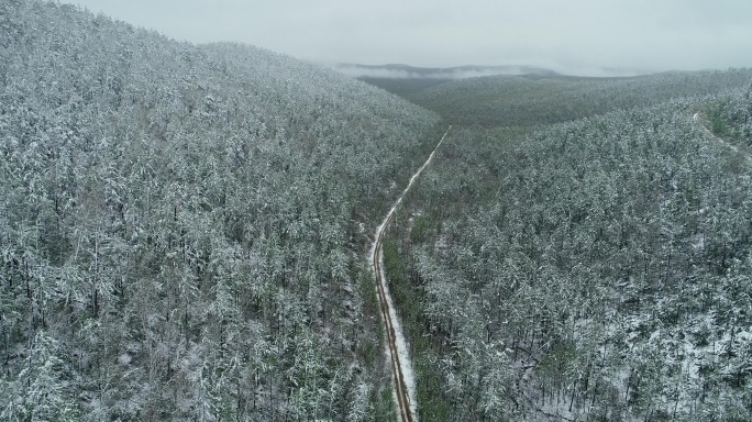 航拍春季森林降雪山路