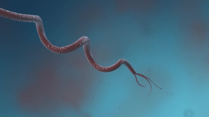 细菌真菌细胞微生物病毒病菌医学三维动画