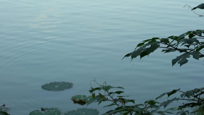 【合集】重庆湖水古风禅意自然美背景素材