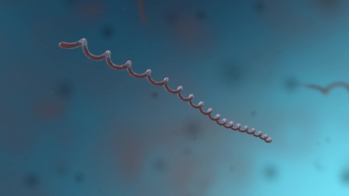 细菌真菌细胞微生物细菌界螺旋体医学动画
