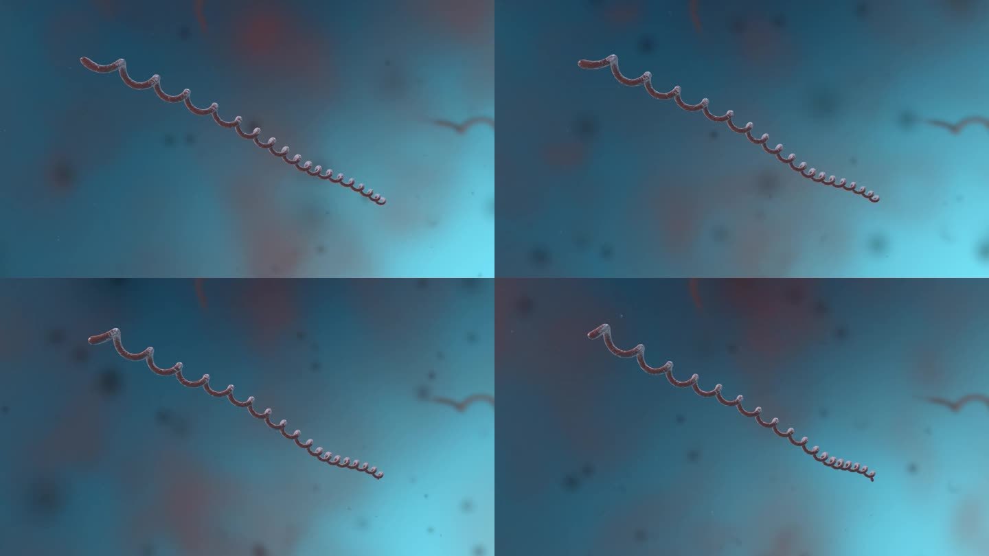细菌真菌细胞微生物细菌界螺旋体医学动画