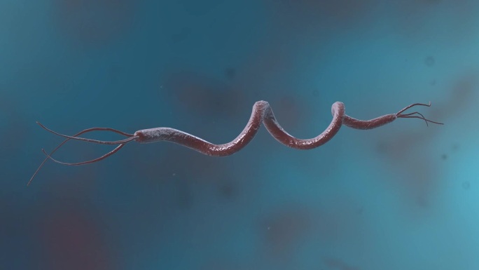 细菌真菌细胞微生物螺旋菌病原体三维动画