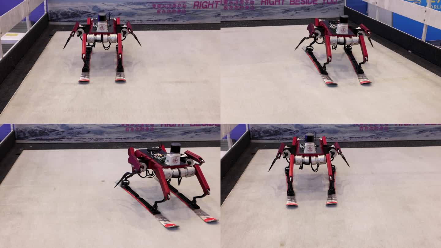 2022世界机器人大会：滑雪机器人