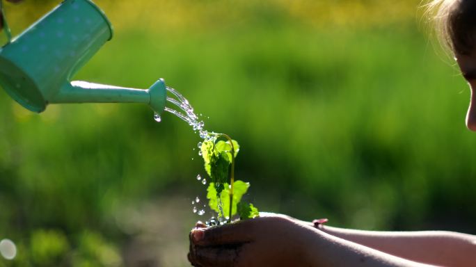 浇水苗种子种植浇水浇花