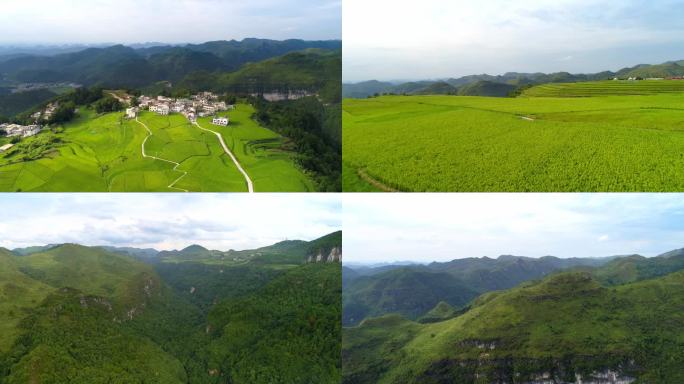 花溪区高坡云顶草原 红岩峡谷风光