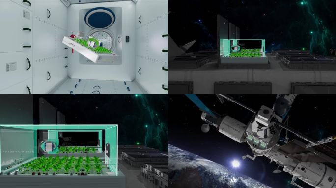4K中国空间站太空育种实验