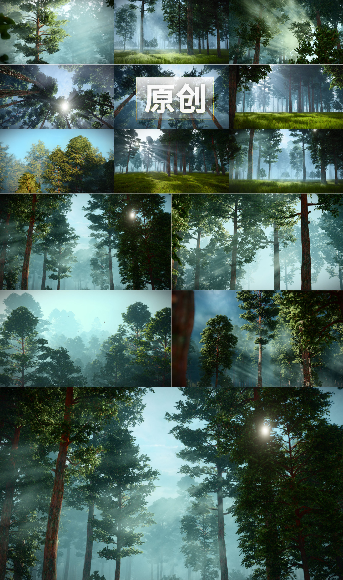 森林光影光线清晨生态树林晨雾