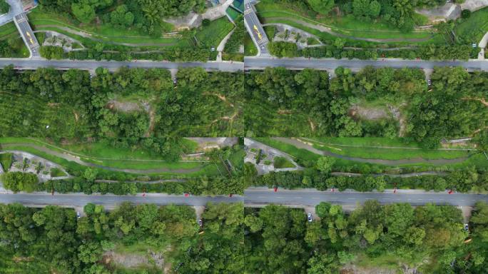 0012_D航拍道路城市绿化